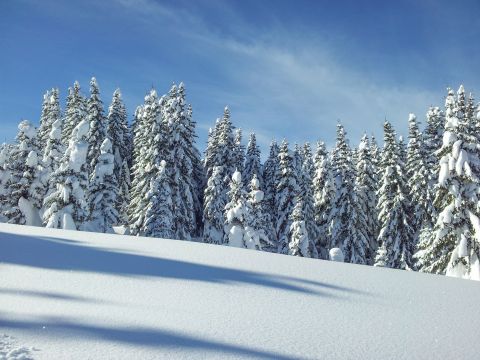 Immagine: inverno in Alta Badia