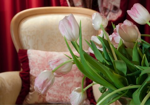 Immagine: Junior Suite